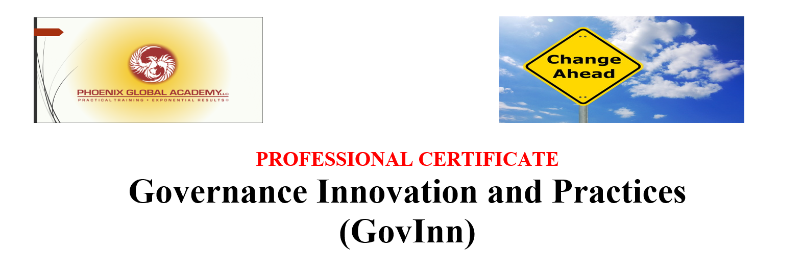 Governance Innovation and Practices (GovInn)